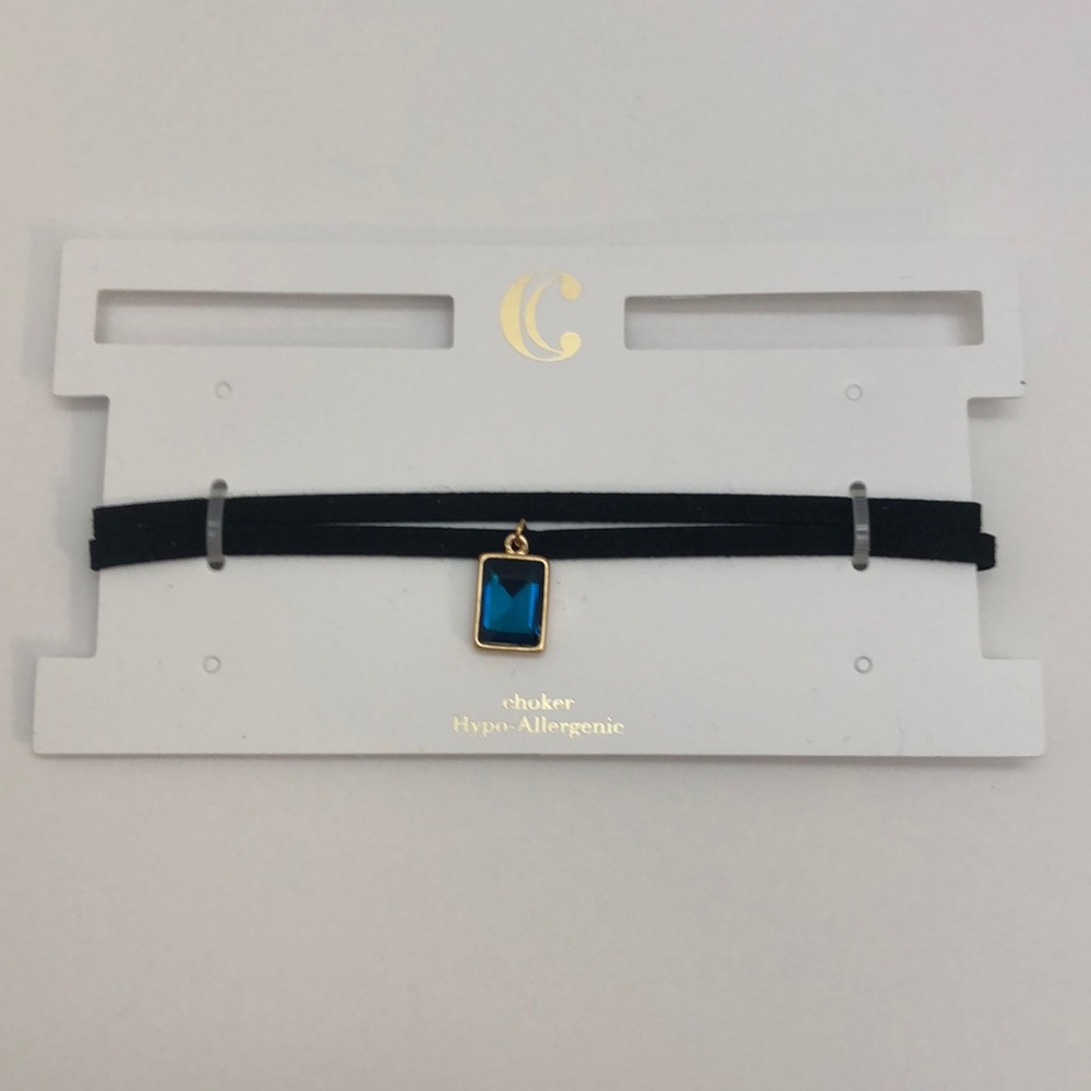 Charming Charlie Hypo-Allergenic Choker